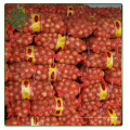 Venda quente Fresca Cebola Vermelha / Cebola Amarela 4 - 6 cm 5-7 cm 8-10 cm de Shandong China